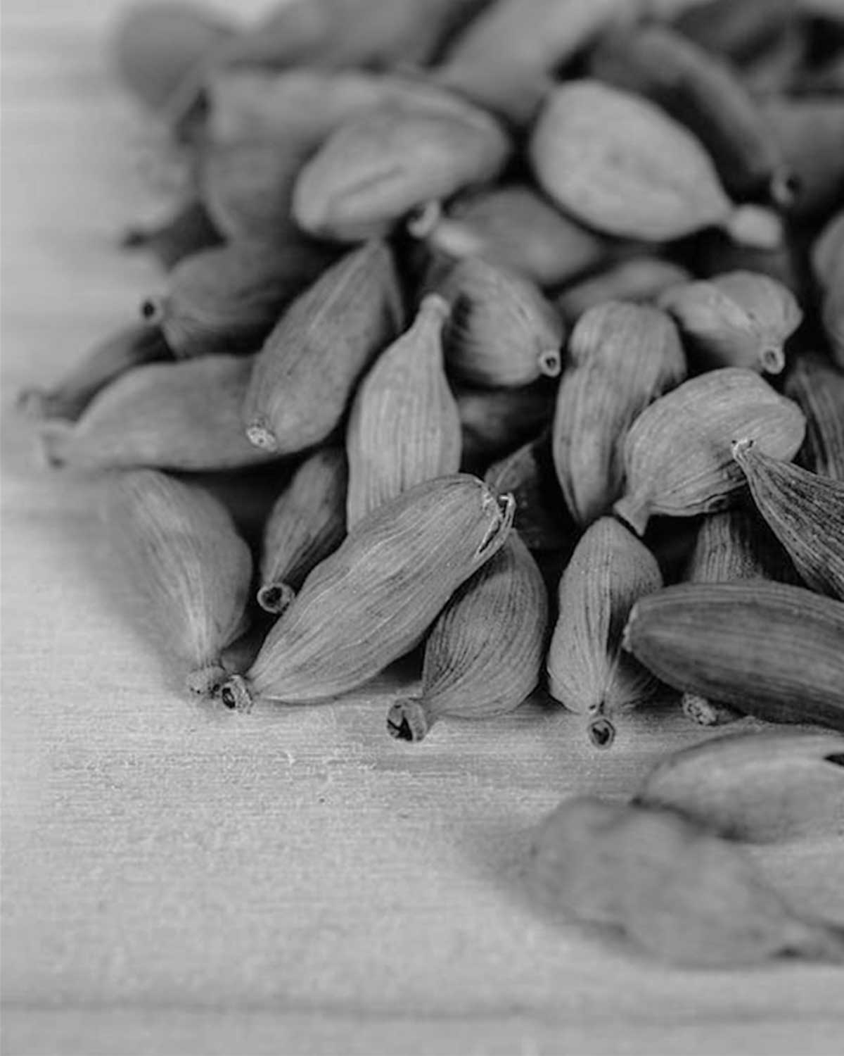 botaniche--cardamomo